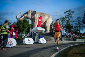 BIB: 
                            <button type="button" onclick="openModal(26541754)" class="btn btn-primary btn-sm float-right btn-popup" data-toggle="modal" data-target=".modal-high-quality">
                        <i class="fas fa-shopping-cart"></i> Add to Cart
                    </button>
                                            <button type="button" onclick="isThisMe(26541754, true)" class="btn btn-success btn-sm float-right btn-popup btn-isme hidden" data-toggle="tooltip" data-placement="bottom" title="นี่คือรูปของคุณใช่ไหม คลิกที่นี่เพื่อเอาเข้าอัลบั้ม">
                        <i class="fas fa-plus"></i> Add to album
                    </button>
                    <button type="button" onclick="isThisMe(26541754, false)" class="btn btn-warning btn-sm float-right btn-popup btn-isnotme hidden">
                        <i class="fas fa-ban"></i> Remove from album
                    </button>